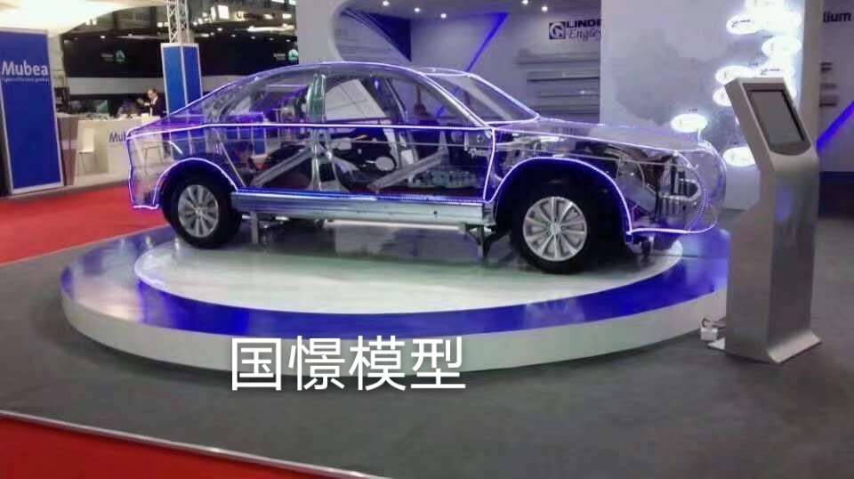 鄄城县透明车模型